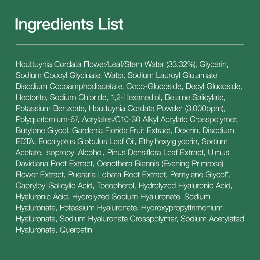 Heartleaf Quercetinol Pore Deep Cleansing Foam