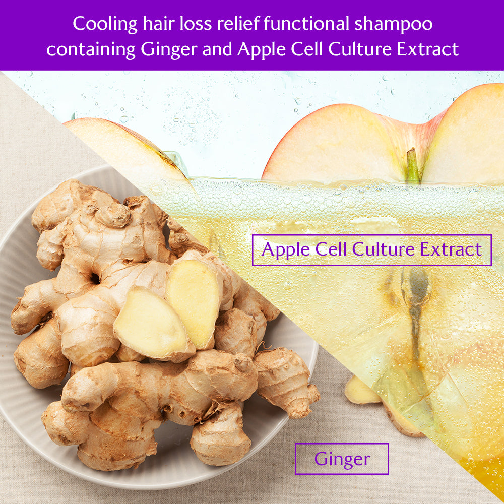 Root Re-boot Shampoo (Awakening / Purifying / Vitalizing / Activating)