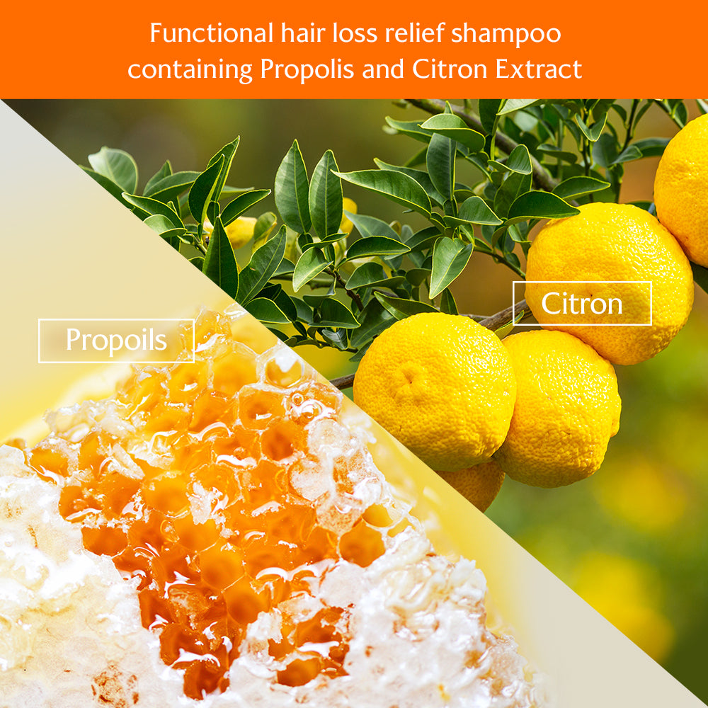 Root Re-boot Shampoo (Awakening / Purifying / Vitalizing / Activating)