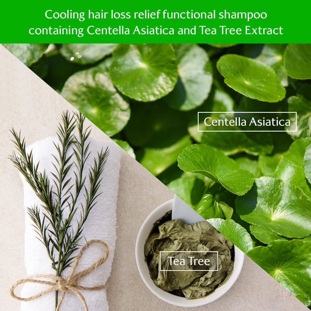 Root Re-boot Shampoo (Awakening / Purifying / Vitalizing / Activating)