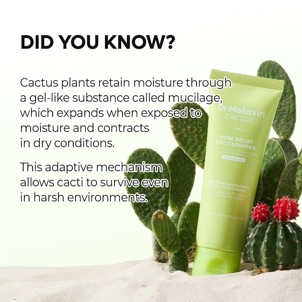 Cactox™ Pore Relief Gel Cleanser